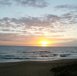 Meet your Posher, Alina